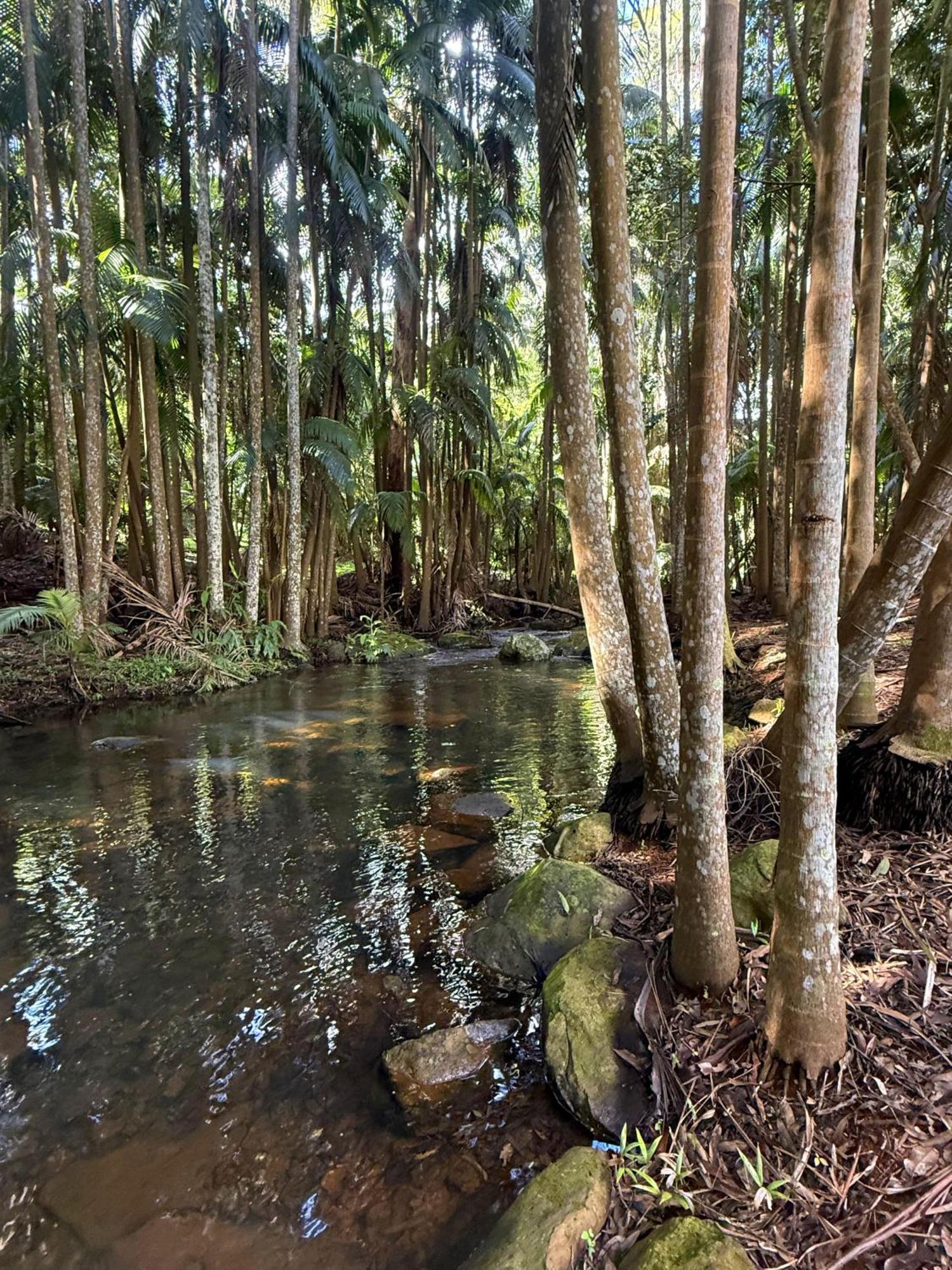 Готель Mt Tamborine Stonehaven Manor Голд-Кост Екстер'єр фото