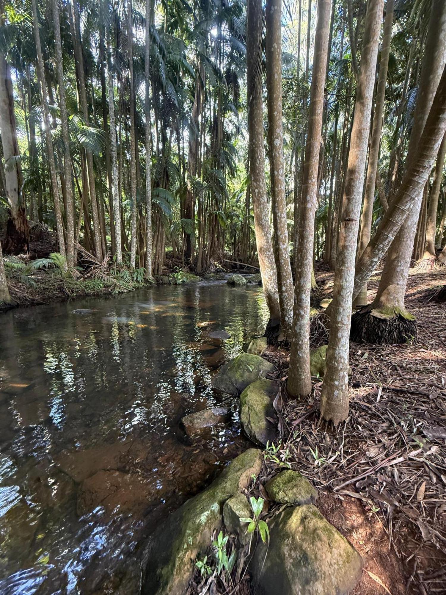 Готель Mt Tamborine Stonehaven Manor Голд-Кост Екстер'єр фото