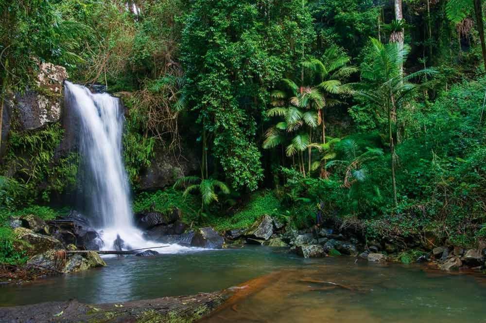 Готель Mt Tamborine Stonehaven Manor Голд-Кост Екстер'єр фото
