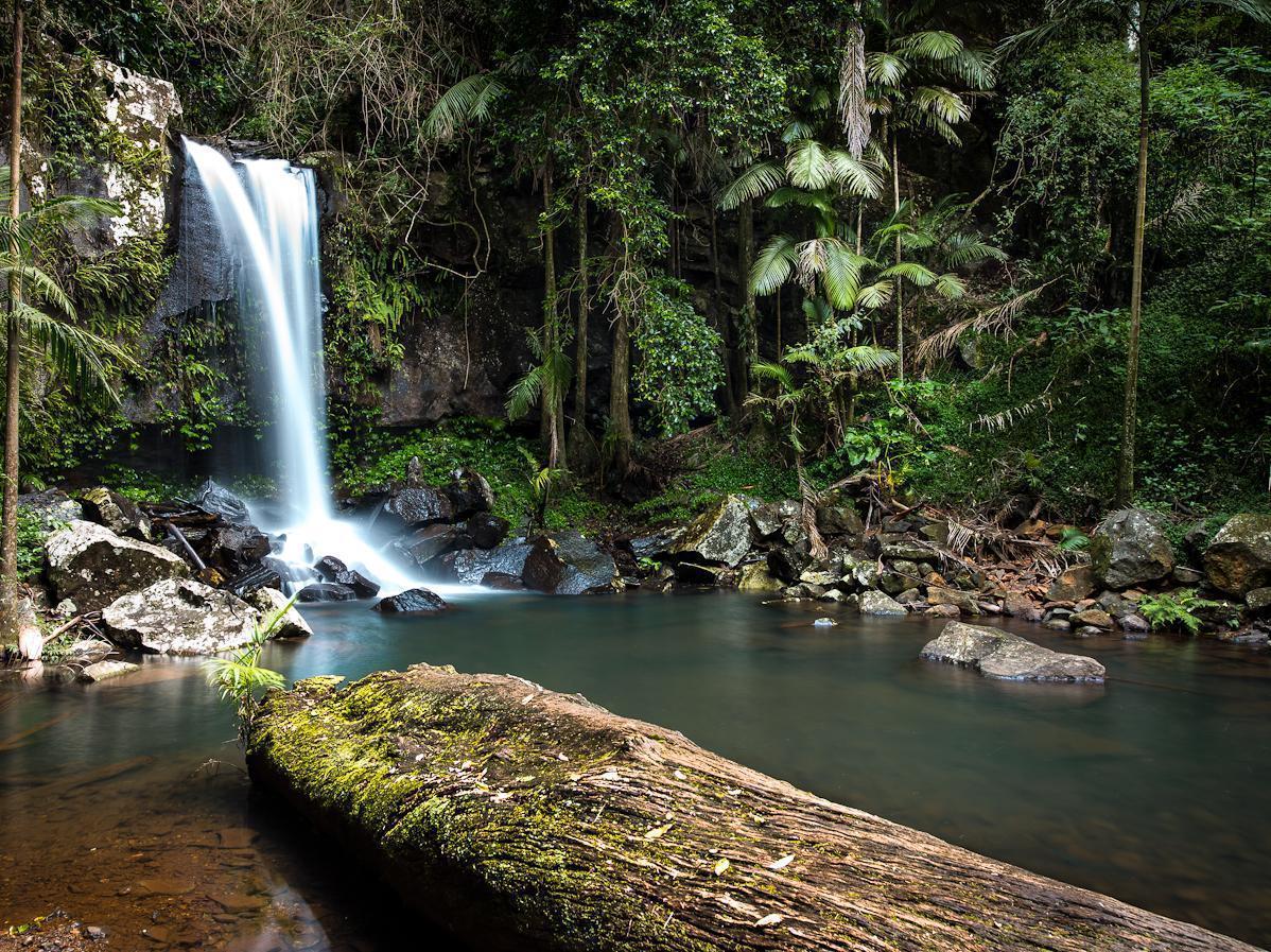 Готель Mt Tamborine Stonehaven Manor Голд-Кост Екстер'єр фото